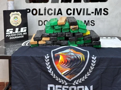 Ação conjunta fecha depósito de drogas e apreende 40 quilos de maconha
