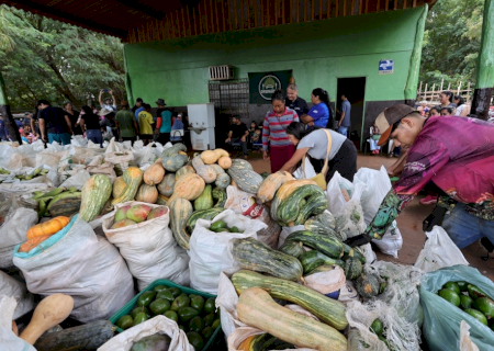 Prefeitura entrega mais 5 toneladas de alimentos às famílias da Reserva Indígena
