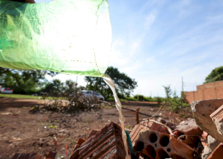 Dourados tem 6.411 notificações e 2.204 casos confirmados de Chikungunya