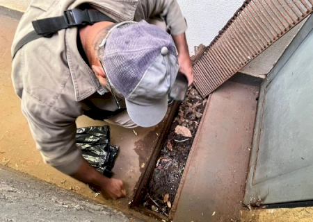 Mato Grosso do Sul registra 8.384 casos confirmados de dengue; Dourados tem 174