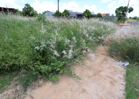 Donos de terrenos baldios recebem notificação para limpeza e roçada em Dourados