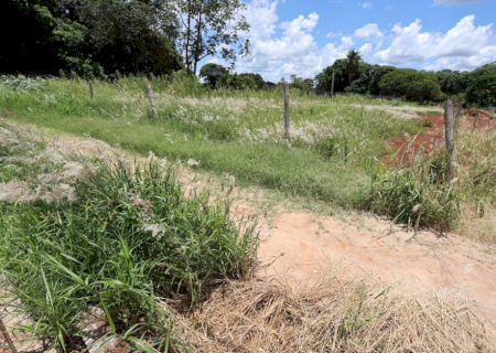 Prefeitura começa a autuar proprietários de terrenos com mato e sujeira no dia 5