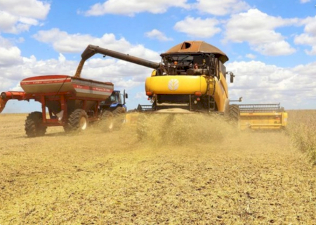 Produção da soja tem previsão de novo recorde na série histórica em 2026