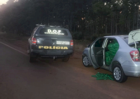 Foragido da Justiça é capturado com 1 tonelada de drogas na MS-289