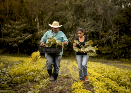 BNDES já aprovou R$ 7,2 bi para produtores rurais impactados por eventos climáticos