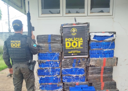 DOF apreende quase meia tonelada de maconha em Mundo Novo