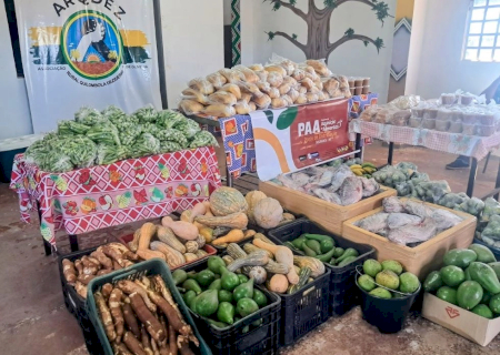 Prefeitura já entregou 76 toneladas de alimentos a indígenas e quilombolas