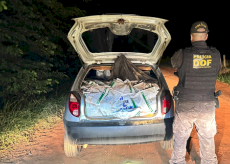 DOF apreende 600 quilos de agrotóxicos após condutor abandonar veículo