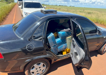 Ação conjunta apreende 745 quilos de droga e prende suspeito em rodovia estadual