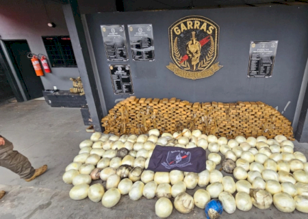 Ao monitorar oficina, polícia apreende quase uma tonelada de cocaína e prende cinco
