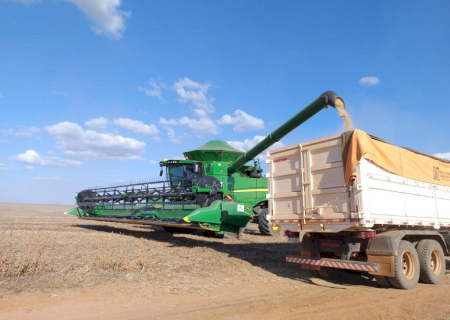 Crédito rural cai 46% em MS e produtor prioriza manter a lavoura