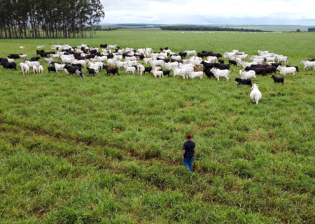 Com maior crescimento do país, agro de MS é fruto de incentivo, modernidade e sucesso do homem do campo