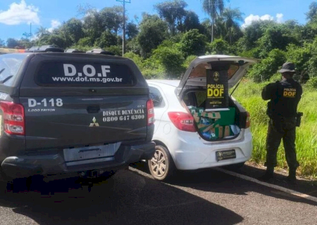 Homem de 36 anos é preso e adolescente de 17 apreendida com carga de drogas
