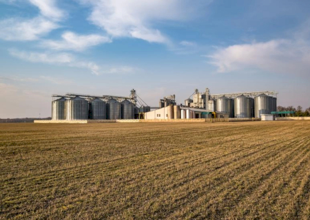 Comercialização de soja e milho apresenta ritmo cauteloso em Mato Grosso do Sul