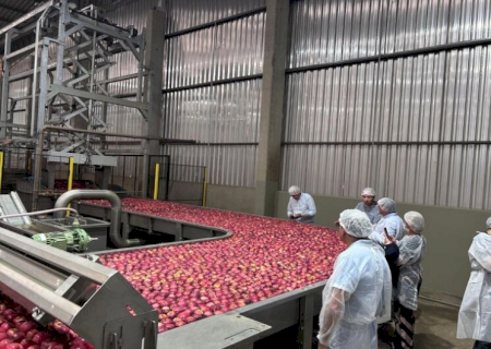 Missão internacional avança na abertura do mercado cubano para frutas brasileiras