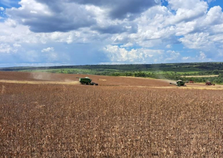 Após revisão, produtividade da soja passa de 52,8 para 61,7 sacas por hectare
