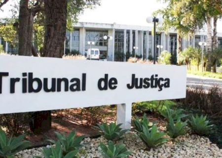 TJ condena acusado de matar gata 'Xispita' a 2 anos e 8 meses