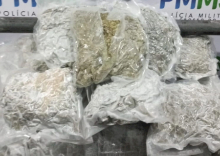 Rapaz é preso tentando embarcar com skunk em terminal rodoviário