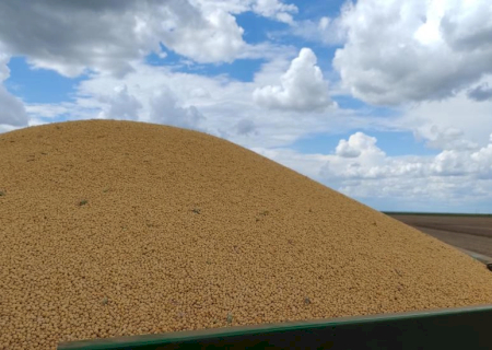 Soja assume liderança de vendas externas em Mato Grosso do Sul