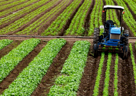 Crédito rural empresarial atinge R$ 404 bilhões no Plano Safra 2025/2026