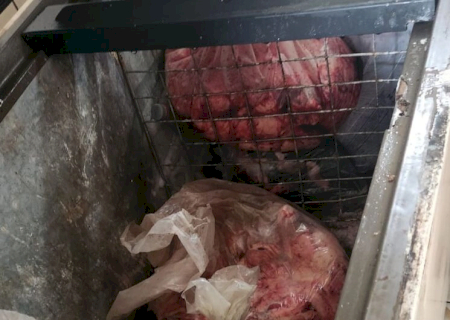 Batida policial apreende mais de 700kg de carne, banha e leite impróprios para consumo