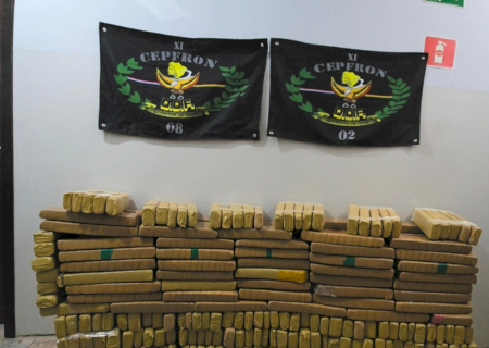 Polícia apreende quase 300 quilos de maconha em Nova Andradina
