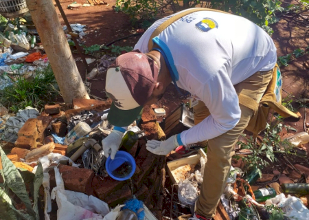 Agentes de endemias vistoriam mais 1.349 imóveis e identificam 6 focos de Chikungunya