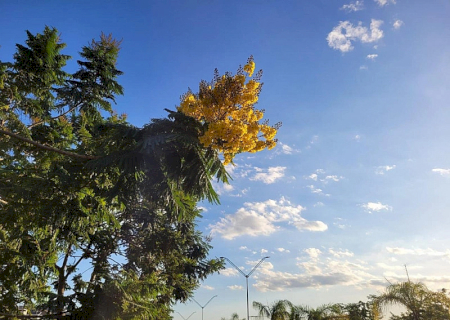 Primeiro dia de junho será com sol entre nuvens e tempo firme em Dourados