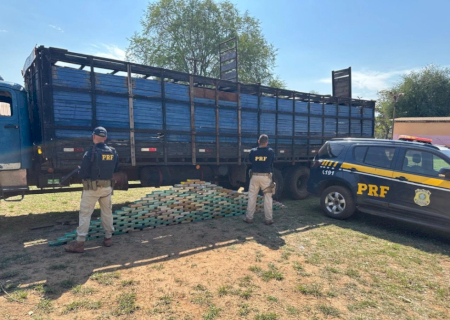 PRF apreende 195 quilos de cocaína em caminhão de transporte de bois