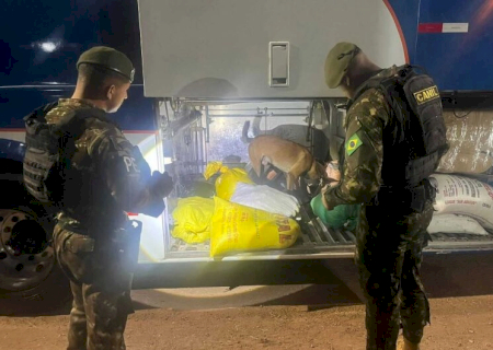 Operação Jaguaretê-Oeste soma R$ 42 milhões em drogas, armas e cigarros apreendidos