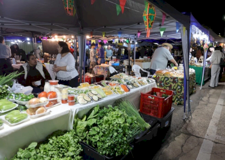 Feira dos Ipês é pet friendly e reúne música, sabores e mais de 60 expositores nesta terça-feira