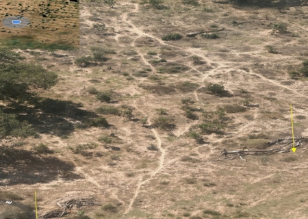 Ministério Público investiga desmatamento de 750 hectares no Pantanal